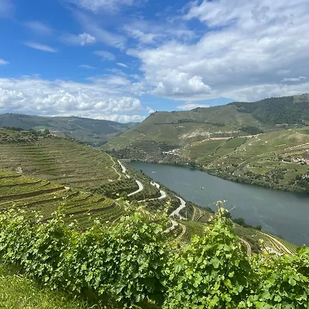Semesterbostad Cozy House With Douro View Lamego